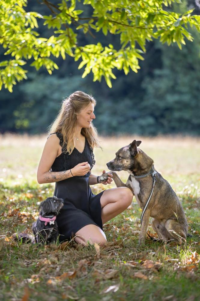 Chiens Rafiki & Gipsy-1